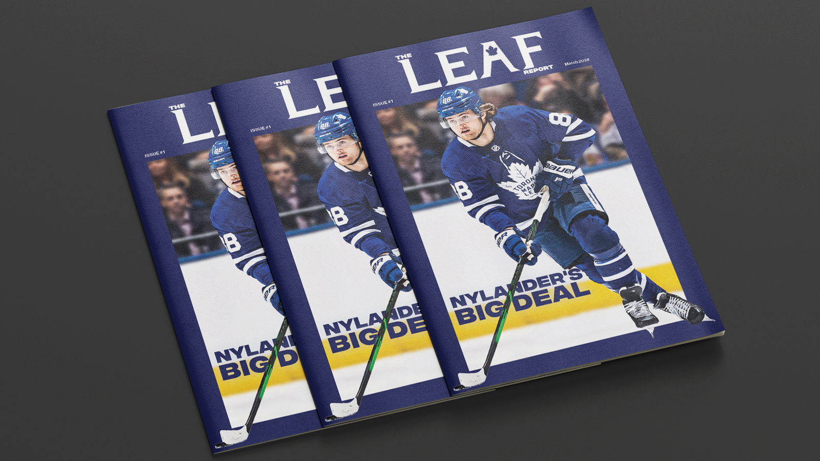 Leafs zine cover hero image